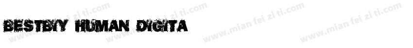 BestBiy human digita字体转换
